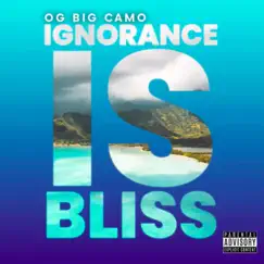 Ignorance Is Bliss - Single by Big Camo album reviews, ratings, credits