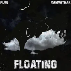 Floating (feat. CamWithak) - Single by PLVG album reviews, ratings, credits
