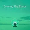 Calming the Chaos - Sunset Sound Bath, Aligning Your Energies, Harmonious and Balanced Evening album lyrics, reviews, download