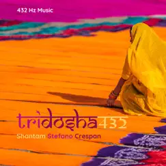 Tridosha432 by Shantam Malcolm album reviews, ratings, credits
