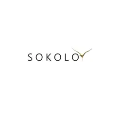 Наше лето - Single by Sokolov album reviews, ratings, credits