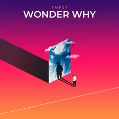 Wonder Why - Single by TMPST album reviews, ratings, credits