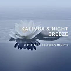 Kalimba & Night Breeze: Soothing Melodies for Spa Moments by Quarantine Meditation album reviews, ratings, credits