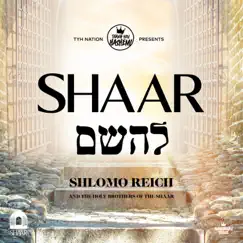 Shaar L’Hashem - Single by Thank You Hashem & Shlomo Reich album reviews, ratings, credits