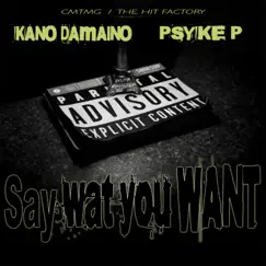 SAY WAT U WANT (feat. KANO DAMAINO) - Single by PSYKE P album reviews, ratings, credits