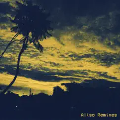 Aliso (Remixes) - EP by Malena Zavala album reviews, ratings, credits