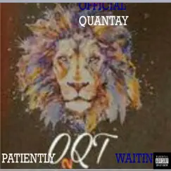 Problems (Patiently Waiting) - Single by Official Quantay album reviews, ratings, credits