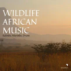 Wildlife African Music (Kalimba, Marimba, Drums) by African Music Crew, Africa Music & African Music Experience album reviews, ratings, credits