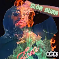 Slow Burn - Single by Sova Black album reviews, ratings, credits