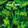 Whale Noise - Single album lyrics, reviews, download