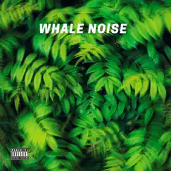 Whale Noise Song Lyrics