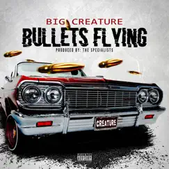 Bullets Flying Song Lyrics
