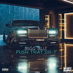 Push That Sh-t - Single by Bigg Blu album reviews, ratings, credits