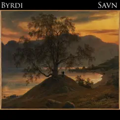 Savn - Single by Byrdi album reviews, ratings, credits