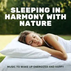 Relaxing Forest Sounds for Sleep Song Lyrics