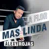 La flor mas linda - Single album lyrics, reviews, download