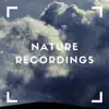 Skyful Nature Ambient - Single album lyrics, reviews, download