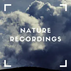 Skyful Nature Ambient - Single by Natural Sample Makers, Natural Sound Makers & Nature Recordings album reviews, ratings, credits