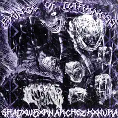 PRINCE OF DARKNESS - Single by SHADXWBXRN, ARCHEZ & KXNVRA album reviews, ratings, credits