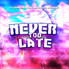 Never Too Late (Radio Edit) Song Lyrics