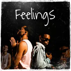 Feelings (feat. MB) - Single by Amarxl album reviews, ratings, credits