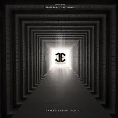 The Tunnel (James Egbert Remix) Song Lyrics