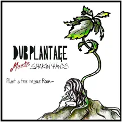 Plant a Tree in Your Room Song Lyrics