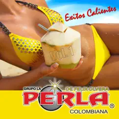 La Perla Colombiana 20 Éxitos, Vol. 1 by Grupo Perla Colombiana album reviews, ratings, credits