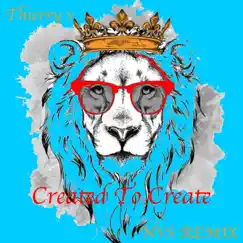 Created To Create (N.V.S Remix) by Thierry v album reviews, ratings, credits