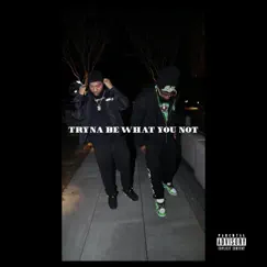 Tryna be what you not (feat. Deveye) - Single by Joe Money album reviews, ratings, credits