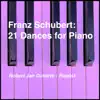 Franz Schubert: 21 Dances for Piano album lyrics, reviews, download