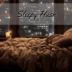 Sleepy Hush by Holistic Therapist album reviews, ratings, credits