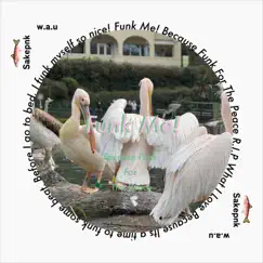 Funk Me! - Single by Sakepnk album reviews, ratings, credits
