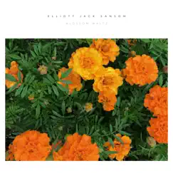 Blossom Waltz - Single by Elliott Jack Sansom album reviews, ratings, credits
