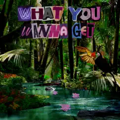What You Wanna Get - Single by ELYX & Chacel album reviews, ratings, credits