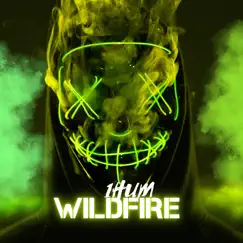 WildFire - Single by 1hum album reviews, ratings, credits