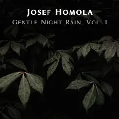 Gentle Night Rain Song Lyrics