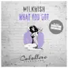 What You Got - Single album lyrics, reviews, download