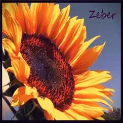 Send Me On My Way - Single by Zeber album reviews, ratings, credits