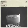 Shadow & Light (Spectrum Remix) - Single album lyrics, reviews, download
