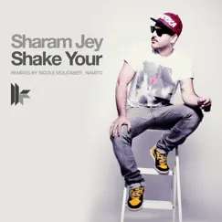 Shake Your (Original Club Mix) Song Lyrics