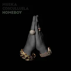Homeboy (feat. Cosculluela) - Single by Mueka album reviews, ratings, credits