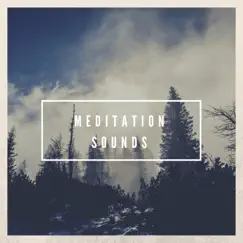 Misty Meditated Song Lyrics