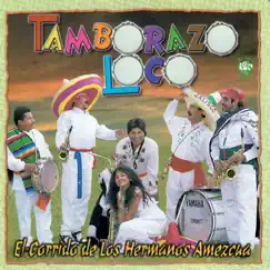 El Corrido de los Hermanos Amezcua by Pedro Rivera album reviews, ratings, credits