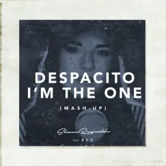 Despacito / I'm the One (Mash-Up) [feat. Red] Song Lyrics