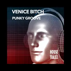Punky Groove - Single by Venice Bitch album reviews, ratings, credits