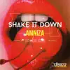 Shake It Down - Single album lyrics, reviews, download