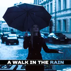 A Walk in the Rain: Soothing Sounds of Nature for Relaxation, Mindfulness Meditation, Best Sleep Aid, Healing Rain for Reiki Therapy, Dreamy Mood by Healing Rain Sounds album reviews, ratings, credits