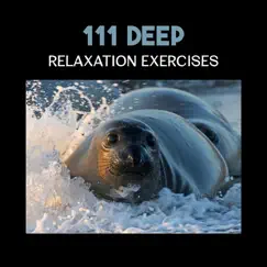 111 Deep Relaxation Exercises – Calming Tracks for Deep Sleep, Rest & Regeneration, Healing Sounds of Water (Rain, Waterfall, Ocean, River) by Peaceful Sounds Zone album reviews, ratings, credits