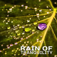 Rain of Tranquility: Soothing Music for Mind & Body, Healing Raindrops Sounds, Deep Sleep & Relaxation by Healing Rain Sound Academy album reviews, ratings, credits